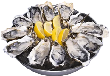 Raw Oysters — Delicious raw oysters to start your meal right. Enjoy with some lemon juice.